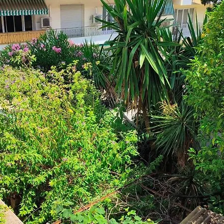 公寓 Plein Sud - Moderne Avec Mezzanine- Hyper Centre - Proche Port 昂蒂布